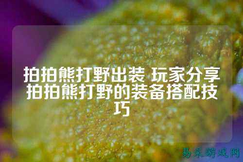 拍拍熊打野出装 玩家分享拍拍熊打野的装备搭配技巧