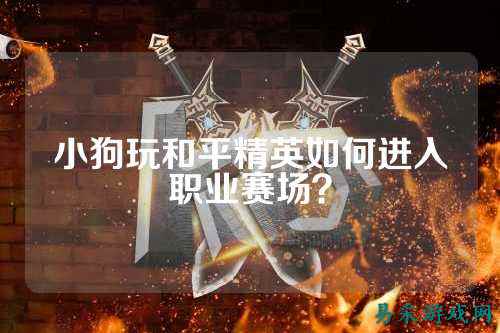 小狗玩和平精英如何进入职业赛场？