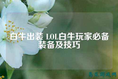白牛出装 LOL白牛玩家必备装备及技巧