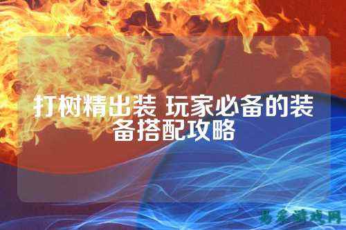 打树精出装 玩家必备的装备搭配攻略