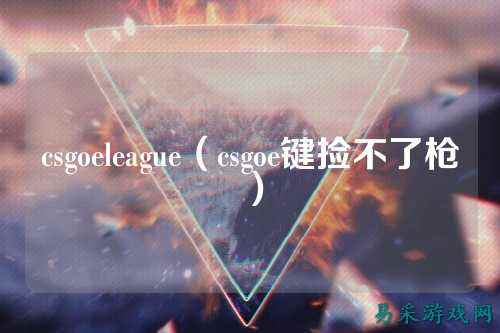 csgoeleague（csgoe键捡不了枪）
