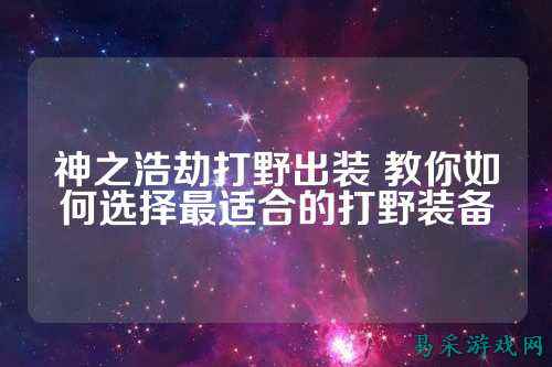 神之浩劫打野出装 教你如何选择最适合的打野装备