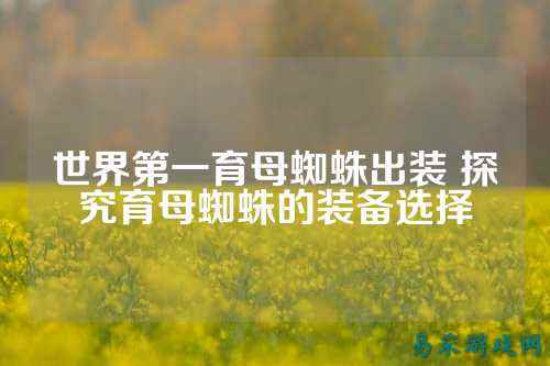 世界第一育母蜘蛛出装 探究育母蜘蛛的装备选择