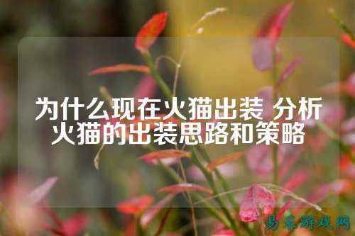 为什么现在火猫出装 分析火猫的出装思路和策略