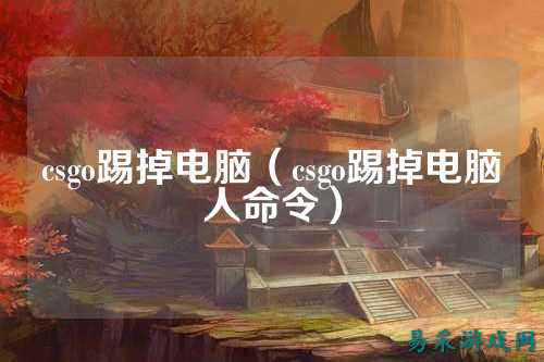 csgo踢掉电脑（csgo踢掉电脑人命令）