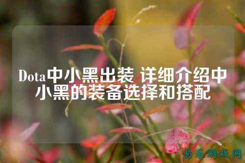 Dota中小黑出装 详细介绍中小黑的装备选择和搭配