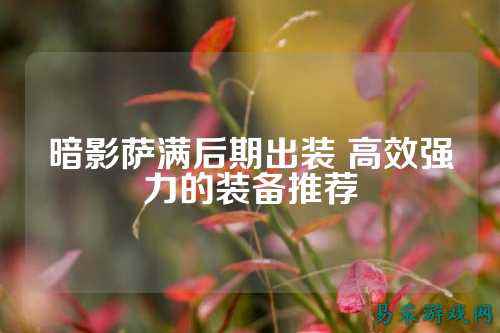暗影萨满后期出装 高效强力的装备推荐