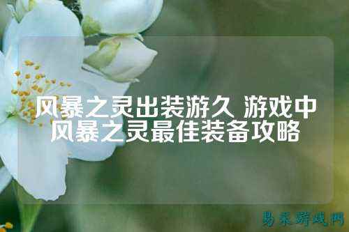 风暴之灵出装游久 游戏中风暴之灵最佳装备攻略