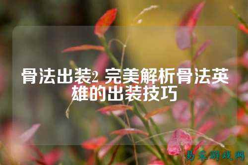 骨法出装2 完美解析骨法英雄的出装技巧