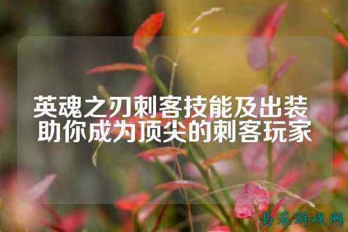 英魂之刃刺客技能及出装 助你成为顶尖的刺客玩家