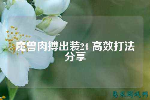魔兽肉搏出装24 高效打法分享