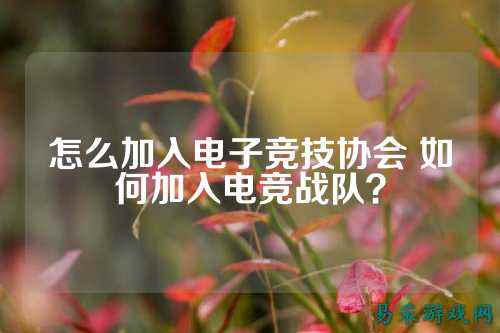 怎么加入电子竞技协会 如何加入电竞战队？