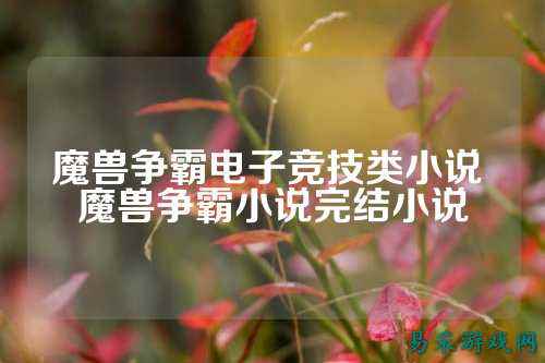 魔兽争霸电子竞技类小说 魔兽争霸小说完结小说