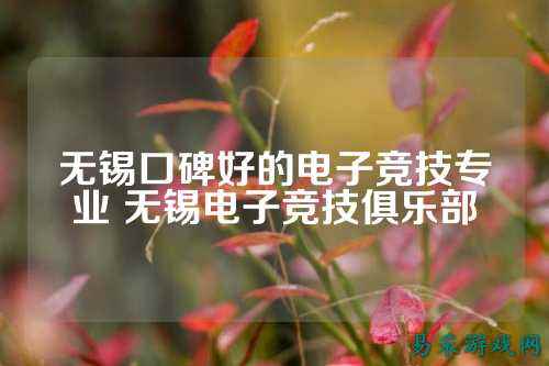 无锡口碑好的电子竞技专业 无锡电子竞技俱乐部