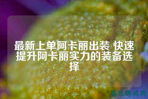 最新上单阿卡丽出装 快速提升阿卡丽实力的装备选择