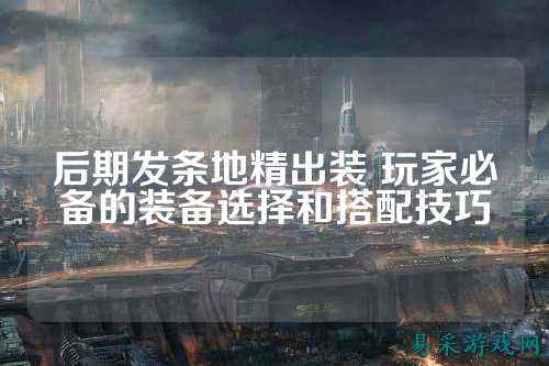后期发条地精出装 玩家必备的装备选择和搭配技巧