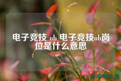 电子竞技 ob 电子竞技ob岗位是什么意思