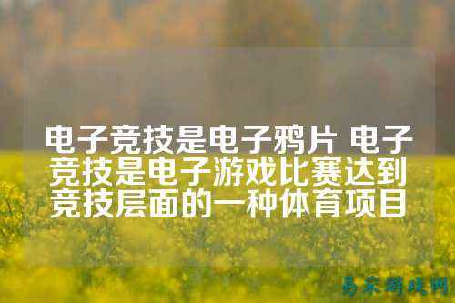 电子竞技是电子鸦片 电子竞技是电子游戏比赛达到竞技层面的一种体育项目