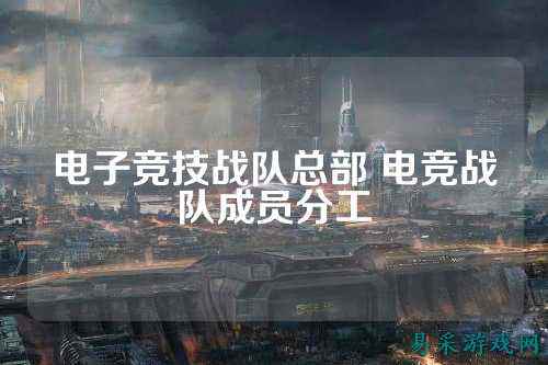 电子竞技战队总部 电竞战队成员分工