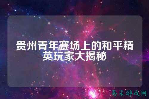 贵州青年赛场上的和平精英玩家大揭秘