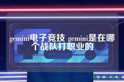 gemini电子竞技 gemini是在哪个战队打职业的
