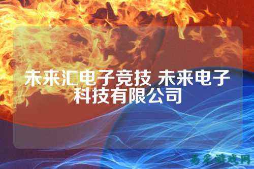 未来汇电子竞技 未来电子科技有限公司