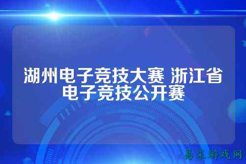 湖州电子竞技大赛 浙江省电子竞技公开赛