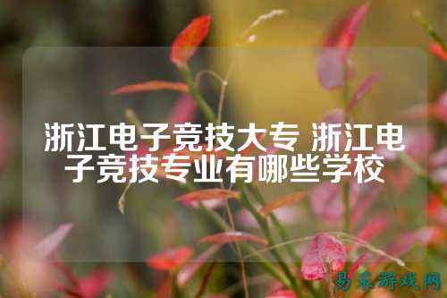 浙江电子竞技大专 浙江电子竞技专业有哪些学校