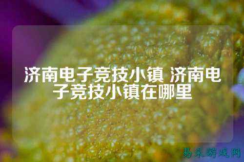 济南电子竞技小镇 济南电子竞技小镇在哪里