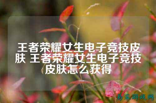 王者荣耀女生电子竞技皮肤 王者荣耀女生电子竞技皮肤怎么获得