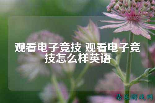 观看电子竞技 观看电子竞技怎么样英语