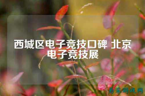 西城区电子竞技口碑 北京电子竞技展