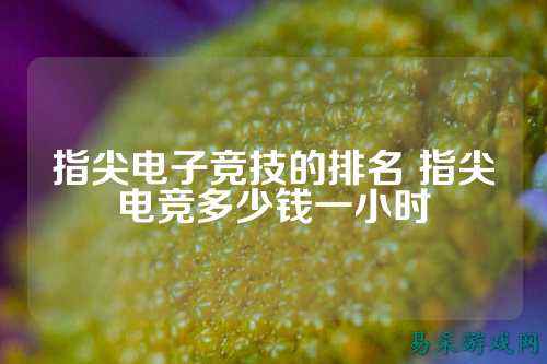 指尖电子竞技的排名 指尖电竞多少钱一小时