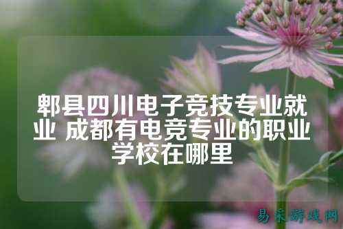 郫县四川电子竞技专业就业 成都有电竞专业的职业学校在哪里