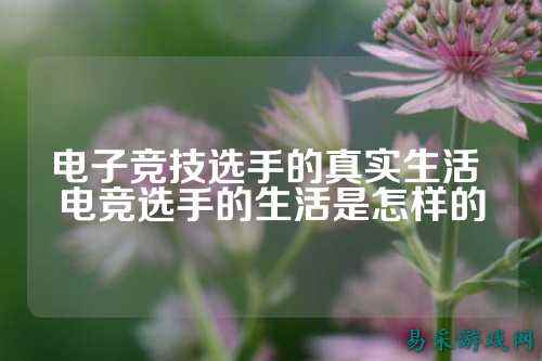 电子竞技选手的真实生活 电竞选手的生活是怎样的