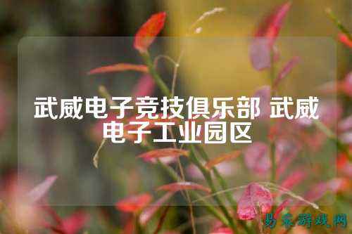 武威电子竞技俱乐部 武威电子工业园区