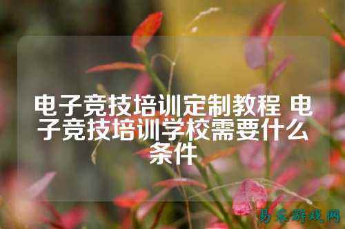电子竞技培训定制教程 电子竞技培训学校需要什么条件