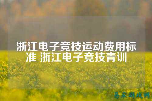 浙江电子竞技运动费用标准 浙江电子竞技青训