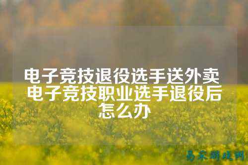 电子竞技退役选手送外卖 电子竞技职业选手退役后怎么办