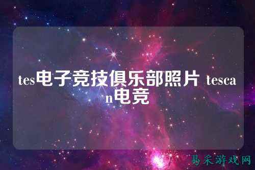 tes电子竞技俱乐部照片 tescan电竞