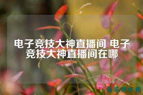 电子竞技大神直播间 电子竞技大神直播间在哪