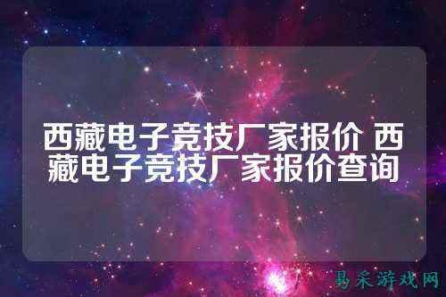 西藏电子竞技厂家报价 西藏电子竞技厂家报价查询