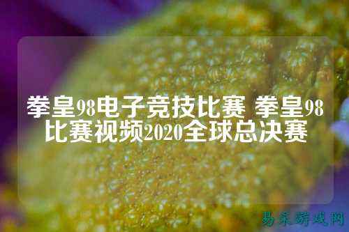 拳皇98电子竞技比赛 拳皇98比赛视频2020全球总决赛