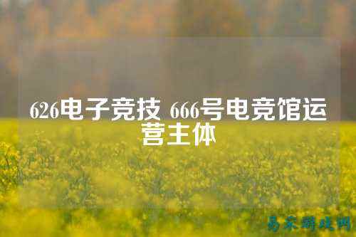 626电子竞技 666号电竞馆运营主体
