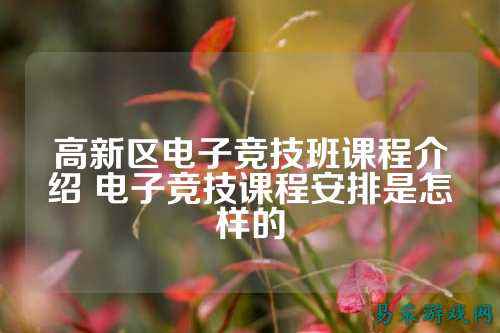 高新区电子竞技班课程介绍 电子竞技课程安排是怎样的