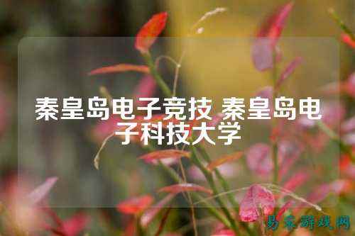秦皇岛电子竞技 秦皇岛电子科技大学