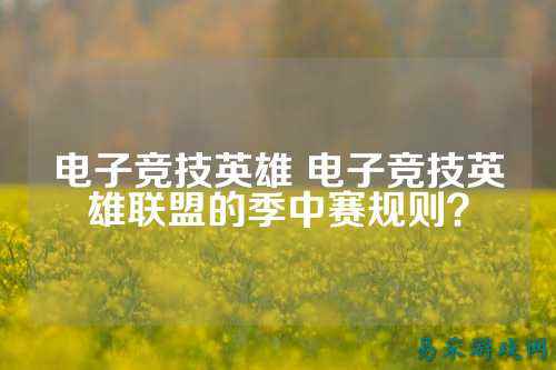 电子竞技英雄 电子竞技英雄联盟的季中赛规则？