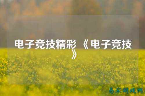 电子竞技精彩 《电子竞技》