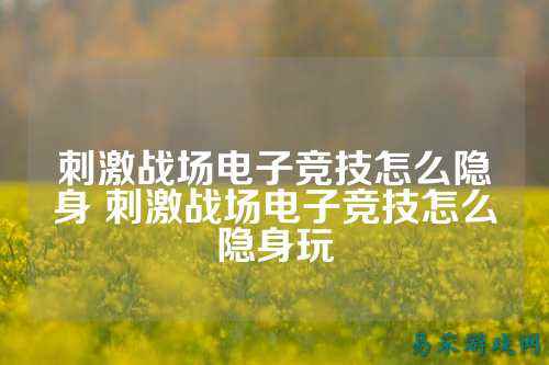 刺激战场电子竞技怎么隐身 刺激战场电子竞技怎么隐身玩