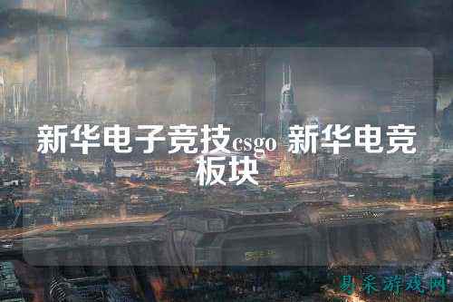 新华电子竞技csgo 新华电竞板块
